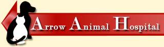 Arrow Animal Hospital